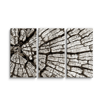 Obraz - 3-dílný Dřevo: 120x80 cm