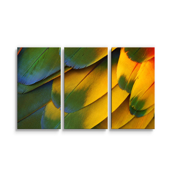 Obraz - 3-dílný Barevné peří: 120x80 cm