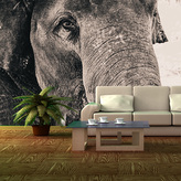 Tapeta Slon: 336x220 cm