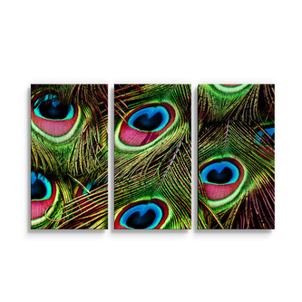 Obraz - 3-dílný Paví peří: 120x80 cm