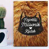 Dárková cedulka Největší milovník koček: 30x40 cm