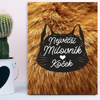 Dárková cedulka Největší milovník koček: 30x40 cm