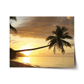 Plakát Palma: 120x80 cm