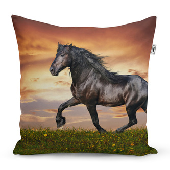 Polštář Friský kůň: 40x40 cm