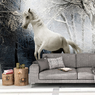 Tapeta Bílý kůň: 208x125 cm Tapeta Bílý kůň: 208x125 cm