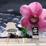 Tapeta Orchidej: 336x220 cm