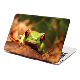 Samolepka na notebook Zelená žába: 38x26 cm