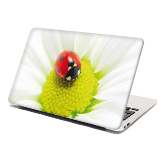 Samolepka na notebook Beruška na květu: 38x26 cm