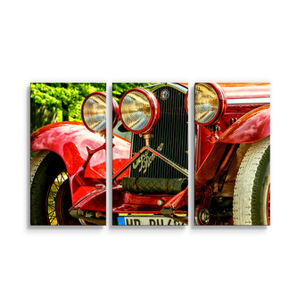 Obraz - 3-dílný Veterán 2: 120x80 cm