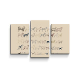 Obraz - 3-dílný Psí plemena: 75x50 cm