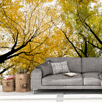 Tapeta Koruny stromů: 125x75 cm