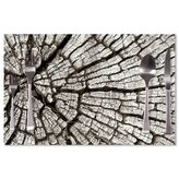 Prostírání Dřevo: 40x30cm