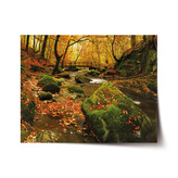 Plakát Most v lese: 90x60 cm