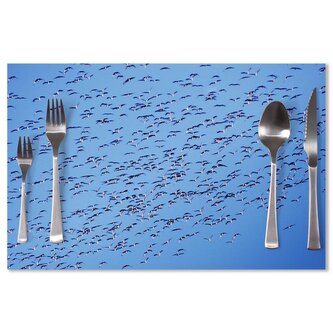 Prostírání Hejno ptáků: 40x30cm