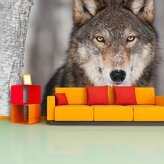 Tapeta Vlk 2: 125x75 cm