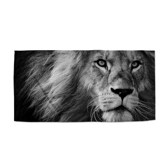 Ručník Lev 2: 30x50 cm