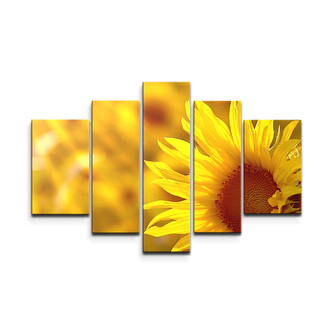 Obraz - 5-dílný Slunečnice 3: 125x90 cm
