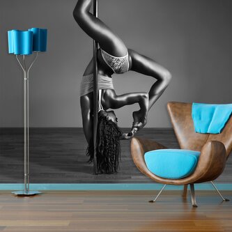 Tapeta Pole dancer: 336x220 cm