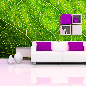 Tapeta Detail listu: 208x125 cm