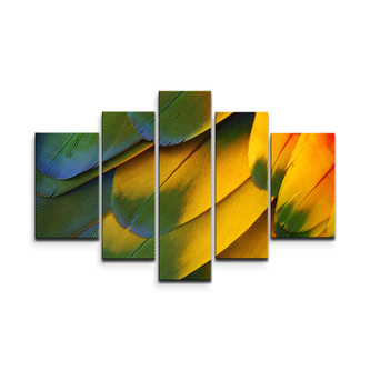 Obraz - 5-dílný Barevné peří: 125x90 cm
