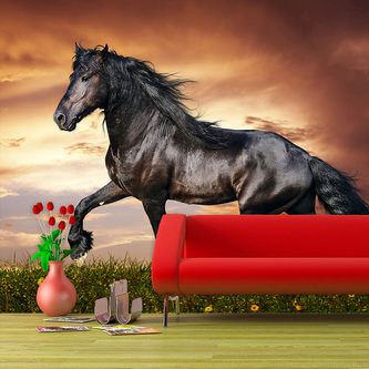 Tapeta Friský kůň: 208x125 cm