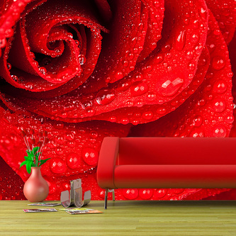 Tapeta Květ růže: 208x125 cm Tapeta Květ růže: 208x125 cm