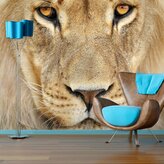 Tapeta Pohled lvice: 336x220 cm