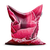 Sedací vak Detail růže: 150x100 cm