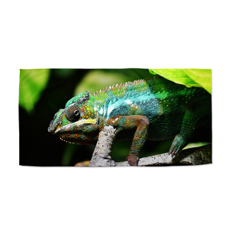 Ručník Chameleon: 70x140 cm Ručník Chameleon: 70x140 cm