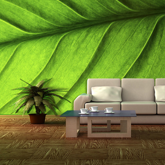 Tapeta List: 336x220 cm Tapeta List: 336x220 cm