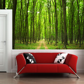 Tapeta Cesta v lese: 336x220 cm