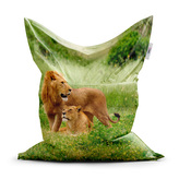 Sedací vak Lev a lvice: 150x100 cm