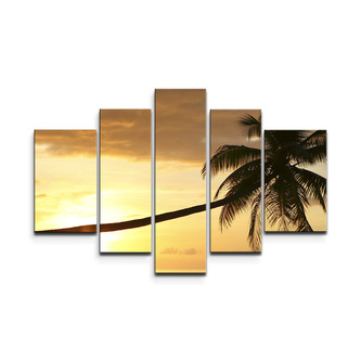 Obraz - 5-dílný Palma: 125x90 cm