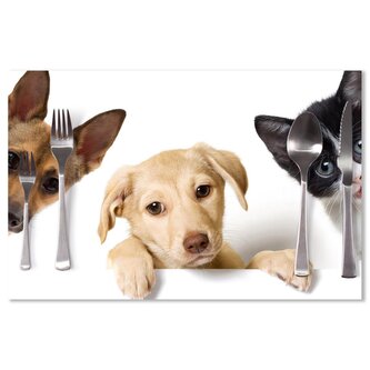 Prostírání Štěňátka a koťátka: 40x30cm