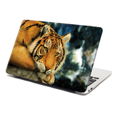 Samolepka na notebook Tygr: 38x26 cm