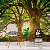 Tapeta Stromy: 125x75 cm