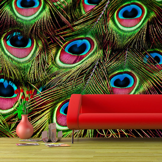 Tapeta Paví peří: 208x125 cm