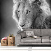 Tapeta Lvíček: 208x125 cm