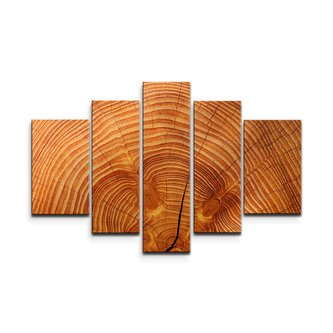 Obraz - 5-dílný Dřevo 2: 125x90 cm