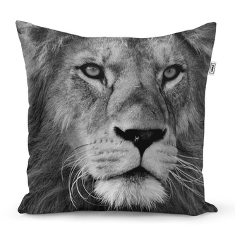 Polštář Lev 2: 40x40 cm