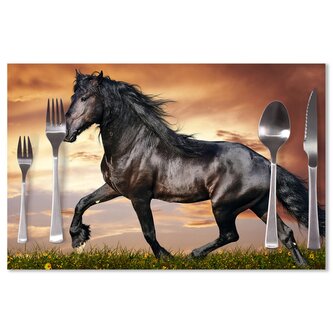 Prostírání Friský kůň: 40x30cm