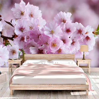 Tapeta Rozkvetlý strom: 336x220 cm