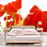 Tapeta Tulipány: 336x220 cm