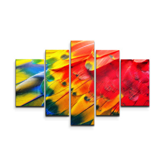 Obraz - 5-dílný Barevné peří 2: 125x90 cm