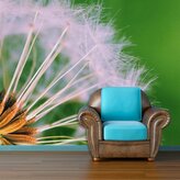 Tapeta Odkvetlé pampelišky 3: 336x220 cm