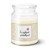 Svíčka Ta nejlepší přítelkyně: 500 g 