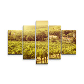 Obraz - 5-dílný Vinice: 125x90 cm