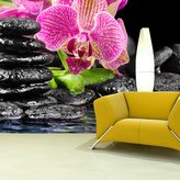 Tapeta Orchidej na kamenech: 208x125 cm