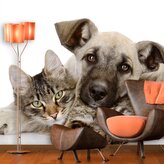 Tapeta Kočička a štěňátko: 208x125 cm