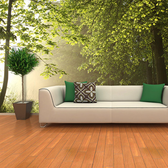 Tapeta Lesní cesta: 208x125 cm